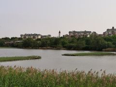 -华侨城湿地公园