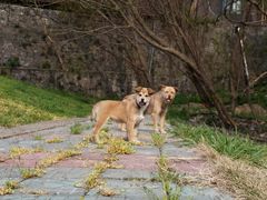 -南京金牛湖风景区