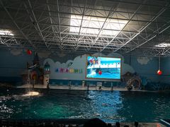 -蓬莱欧乐堡海洋极地世界
