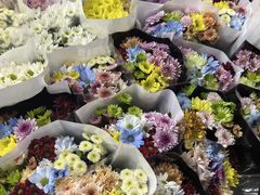 -三圣花乡旅游区