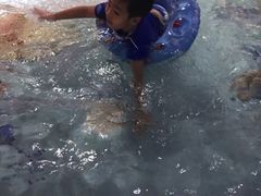 -水晶之星洗浴温泉汗蒸