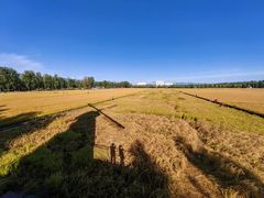 -稻香湖景欢乐岛温泉城堡