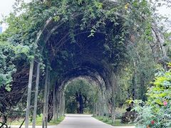 -人民公园(罗湖区)