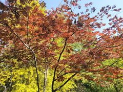 -香山公园-东宫门售票处