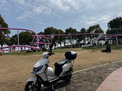 -春花秋色城市公园