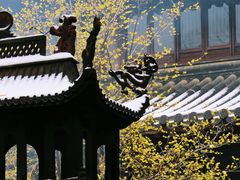 -灵谷景区
