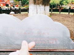 -千年银杏谷文化旅游区