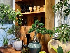 -自由生长植物工作室(深港花卉中心店)