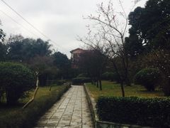 -天赐温泉