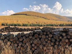 -塞罕坝国家级自然保护区