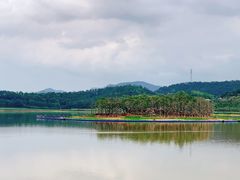 -美的鹭湖森林度假区