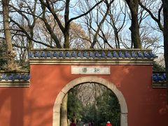 -灵谷景区