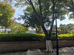 -仙岳公园