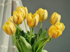 -永和大王(小厨·东四十条店)