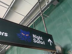 -夜间野生动物园