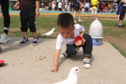 -上美四季动物农场