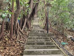 -小南山公园