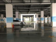 -上海海昌海洋公园-停车场