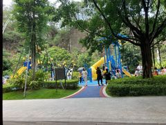 -金鸡山公园