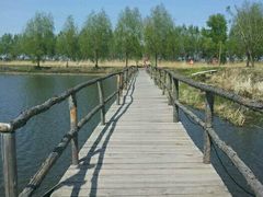 -白渔泡湿地公园