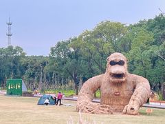 -嘉北郊野公园