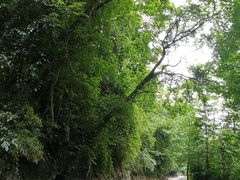 -崇州九龙峡漂流