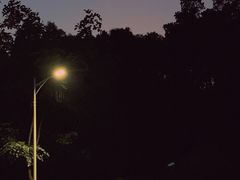 -火炉山森林公园