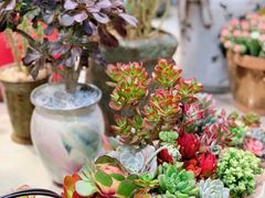 -双季花艺园艺市场(浦东店)