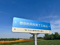 -江苏三台山国家森林公园