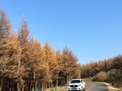 -张北坝上草原