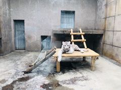 -西安秦岭野生动物园