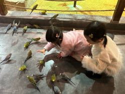 -酷嗒动物文化乐园(cutezoo西溪乐天城店)