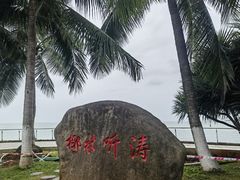 -万绿园