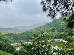 -九龙潭景区
