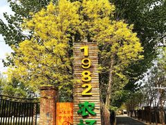 -1982农场