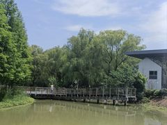 -昆山城市生态森林公园