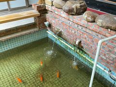 -峰少印宴·私房菜·生猛海鲜·地道水乡菜(万江店)