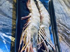 -熊出没日本烧肉放题