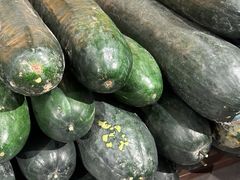 -翟辉冬瓜盅火锅(南村万博店)