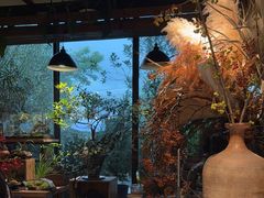 -自由生长植物工作室(深港花卉中心店)