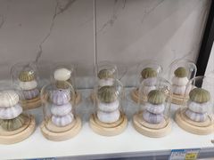 -琴礼季·青岛特产(西海岸店)