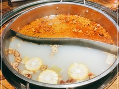 -海南东山羊(南雄店)