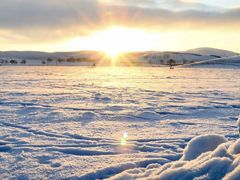 -塞罕坝国家级自然保护区