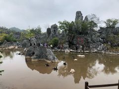 -千岛湖石林
