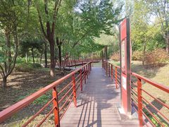 -东升文体公园