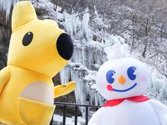 -少华山国家森林公园
