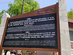 -王顺山国家森林公园