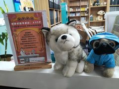 -奈斯宠物医院·核磁CT·异宠专科·内镜(中南店)