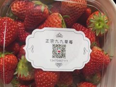 -果松木炭酸菜铜火锅·外婆参鸡汤