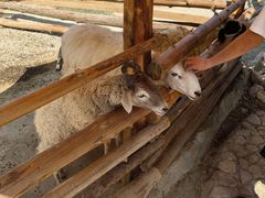 -泉州海丝野生动物世界